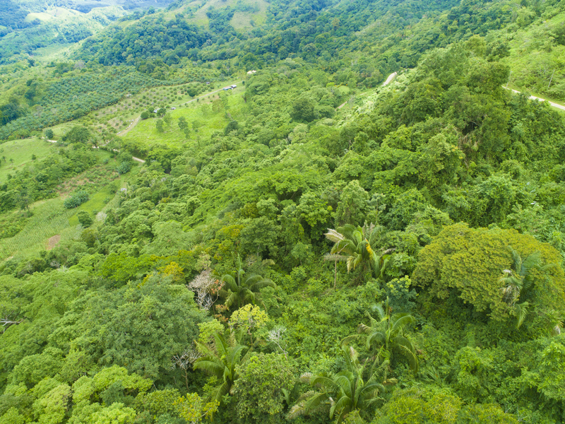 Land For Sale in Golfito Costa Rica